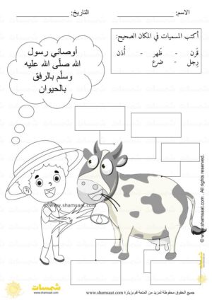 طباعة-اقتصادية-الرفق-بالحيوان-أجزاء-جسم-البقرة-اسلاميات-للاطفال