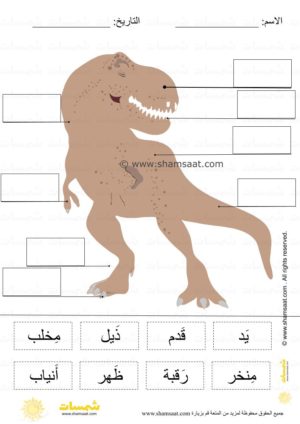 قراءة و وضع المسميات على الرسم -   أجزاء جسم ديناصور- قراءة كلمات - علوم للصغار  (2)