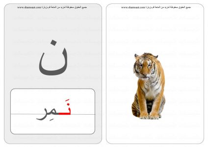 الحروف والحيوانات حرف كلمة صورة  (26).