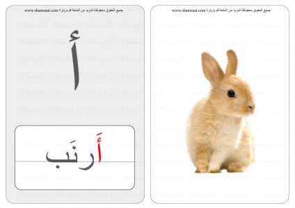 الحروف والحيوانات حرف كلمة صورة  (2).