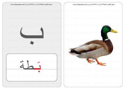 الحروف والحيوانات حرف كلمة صورة  (3).