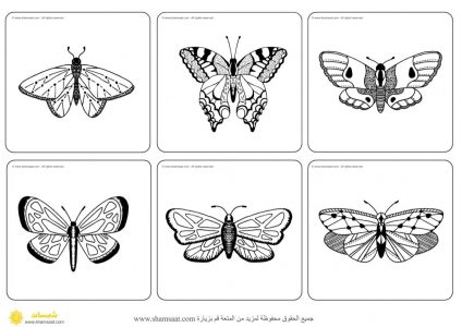بطاقات مطابقة الفراشات - تركيز ودقة ملاحظة - فصل الربيع (2)