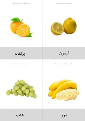 _2 بطاقات الفواكه بالعربي للاطفال
