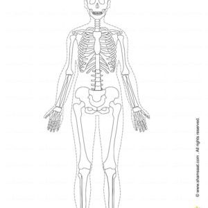الهيكل العظمي نشاط تلوين للاطفال