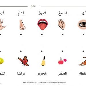 الحواس الخمسة وصل وقراءة - رياض الأطفال بالعربي