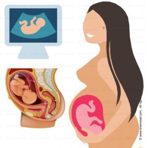 ماما حامل - الجنين في الرحم - السونار -  جسم الانسان