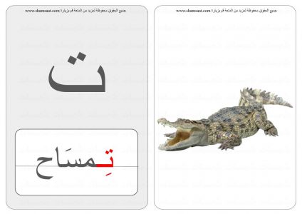 الحروف والحيوانات حرف كلمة صورة  (4).