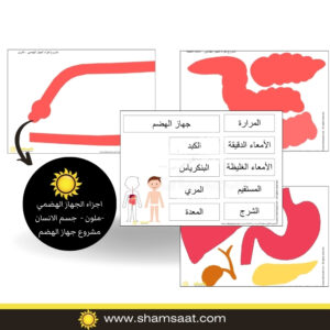 اجزاء الجهاز الهضمي -ملون -  جسم الانسان مشروع جهاز الهضم