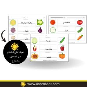 تعرف على الخضار من الداخل والخارج - تطوير مدارك وعلوم