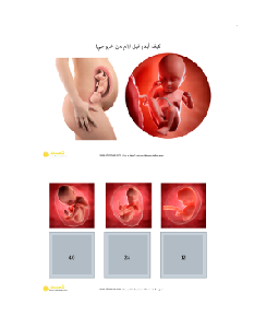 ماما حامل - الجنين في الرحم - السونار - مولود جديد