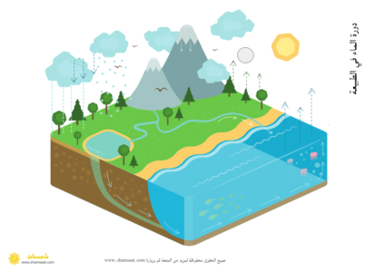 دورة الماء في الطبيعة   - علوم للأطفال