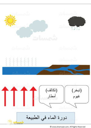 كيف يتشكل المطر - دورة الماء في الطبيعة - اوراق عمل علوم1