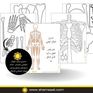 مشروع تركيب الهيكل العظمي الضخم - نشاط ممتع قص ولصق وتركيب الهيكل العظمي للاطفال