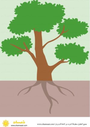 أجزاء الشجرة بزل الشجرة التعلم عن طريق اللعب – اجزاء الشجرة بطاقات مطابقة مكونة من ثلاثة أجزاء – بزل الشجرة -5.jpeg