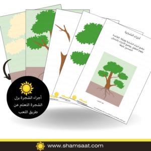 أجزاء الشجرة بزل الشجرة التعلم عن طريق اللعب